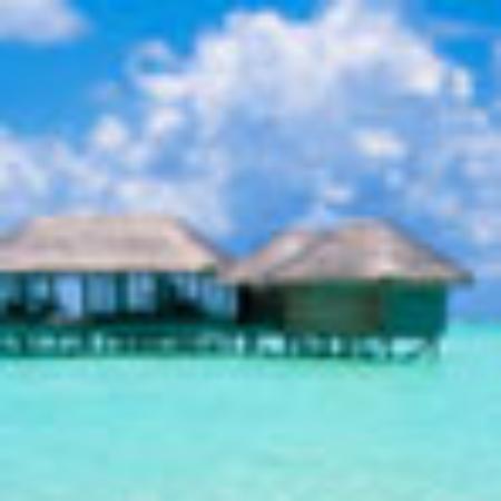 Golden Cafe Restaurant